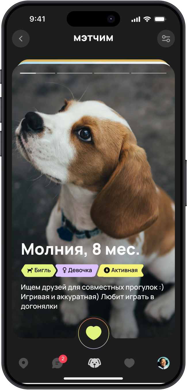 Dog Tinder — мэтчинг собак